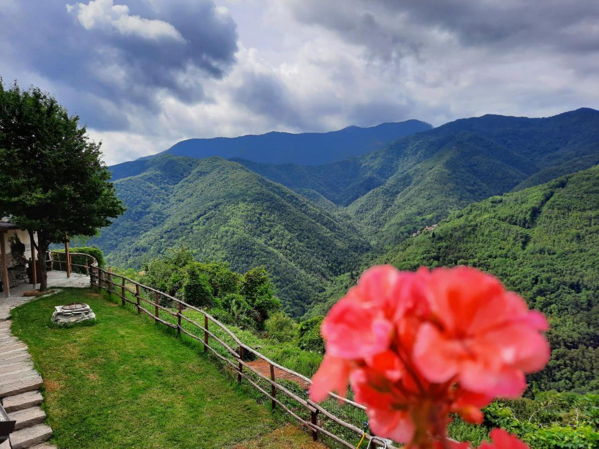 Il Santo Graal Villa Triora Luaran gambar